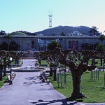 The California Academy of Sciences in Golden Gate Park.