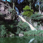 A beautiful picture of the lake at the Golden Gate park